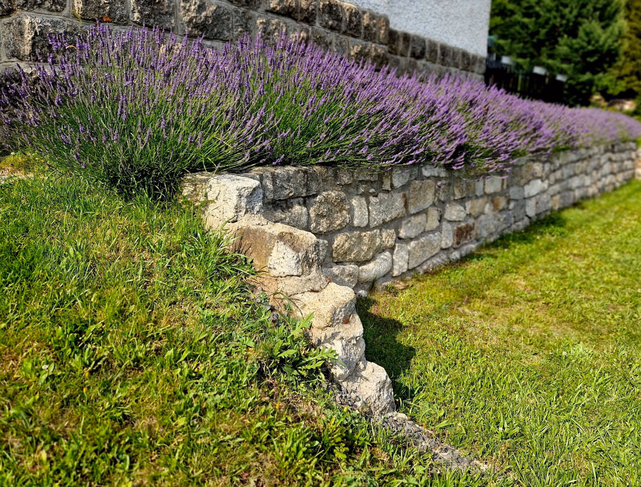 How to Manage Stone Erosion: A Forensic Guide to Preservation